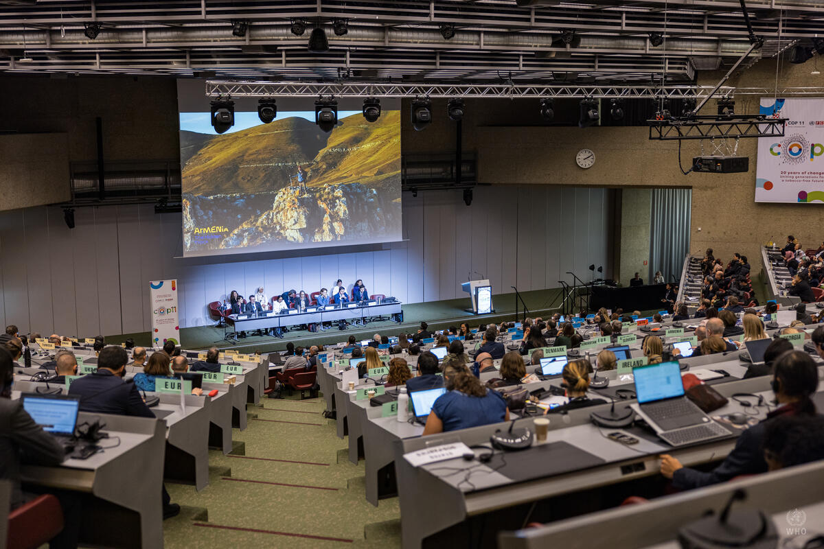 Global action on tobacco control at COP11